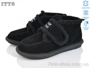 купить ITTS DX11-1 оптом
