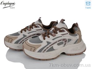 купить оптом Dageni M1105-5