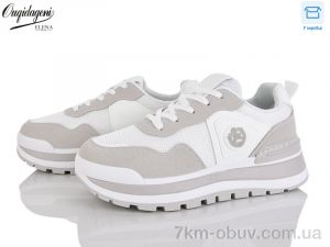 купить Dageni MN258-2 оптом