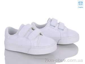 купить Clibee-ShoSho RC12 white оптом