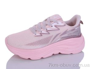 купить Ditof B0093-3 оптом