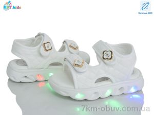 купить BBT L856-2-1 LED оптом