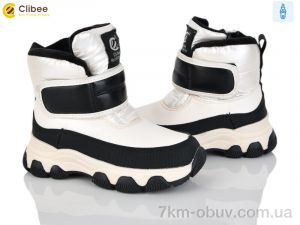 купить Clibee HB555 beige оптом