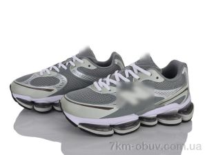 купить Olimp B2000-10 оптом