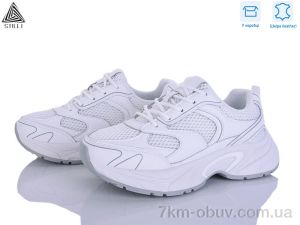 купить STILLI Group T20-1 шкіра оптом