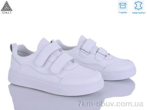 купить STILLI Group R40-1 шкіра оптом