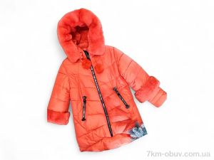 купить Kids-modnik 6010 помаранчевий оптом