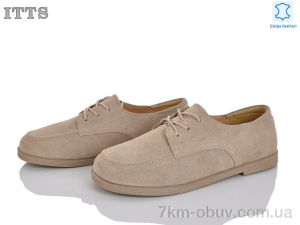 купить ITTS F816-5 оптом