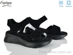 купить Dageni F221-8 оптом