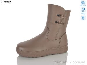 купить Trendy DH3931-3 оптом