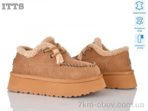 купить ITTS F255-20 оптом