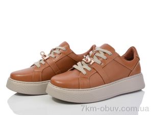купить Захар-Gold K69-3 піна оптом