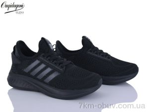 купить Dageni B2526-7 оптом