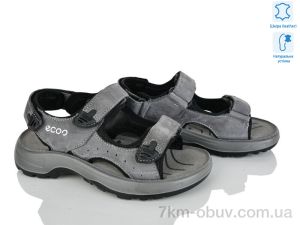 купить оптом KIMBOO T61-3D