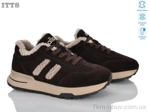 купить оптом ITTS X391-3