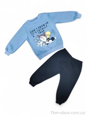 купить Kids-modnik 4498 джинсовий реглан-штани оптом