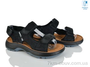 купить оптом KIMBOO T63-3A