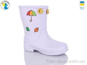 купить Jose Amorales 123110 оптом