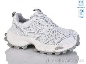 купить Teetspace-Trasta-Egga WDP1828-26 оптом