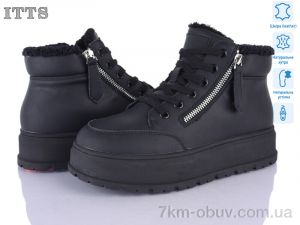 купить ITTS H5051A оптом