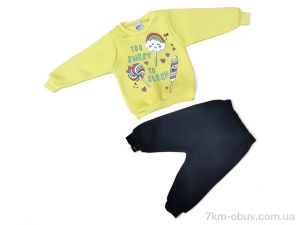 купить Kids-modnik 43650 жовтий реглан-штани оптом