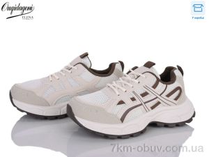 купить оптом Dageni A6008-3