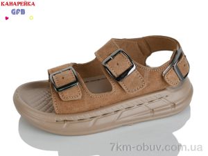 купить GFB-Канарейка S72-3 оптом
