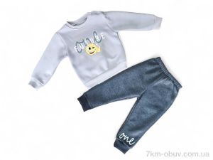 купить Kids-modnik 3426 сірий реглан-штани оптом
