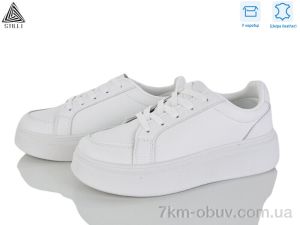 купить STILLI Group AB60 шкіра оптом