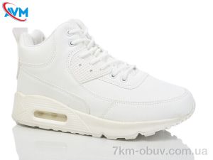 купить AVM B801-2L оптом