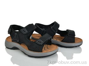 купить KIMBOO T66-3A оптом