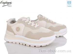 купить оптом Dageni MN258-3