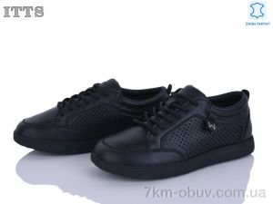 купить ITTS P04-6 оптом