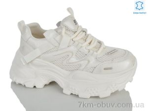 купить Teetspace-Trasta-Egga WDP2052-118 оптом