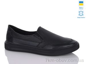 купить Botema 0136-1 оптом