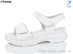 купить Trendy WL1043-2 оптом