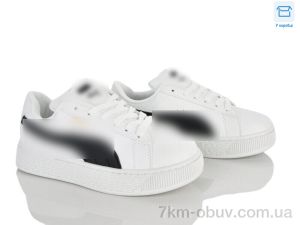 купить оптом Ledicai R505-3