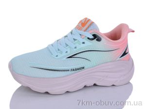 купить Ditof B0100-3 оптом