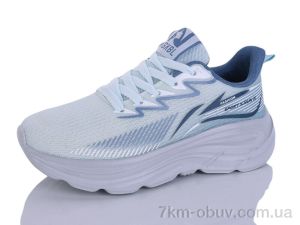 купить Ditof B0093-2 оптом