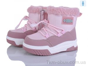 купить Poni kids 2311-5H оптом