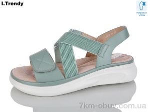 купить Trendy WL2029-11 оптом
