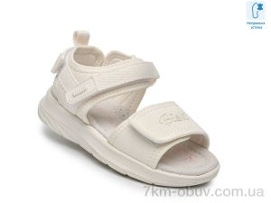 купить TOM.M B60081C оптом