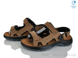 купить KIMBOO T62-4K оптом