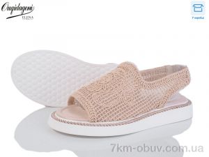 купить оптом Dageni F595-3