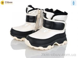 купить Clibee HA567 beige оптом