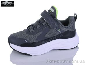 купить оптом Baas K6603-2