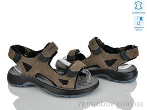 купить KIMBOO T69-4L оптом