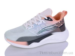 купить Ditof B0061-2 оптом