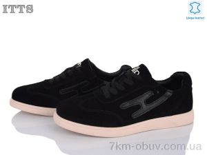 купить ITTS TB102-2 оптом