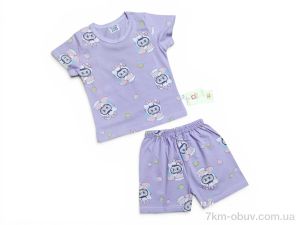 купить оптом Kids-modnik 261920 комплект футболка-шорти бузково-білий